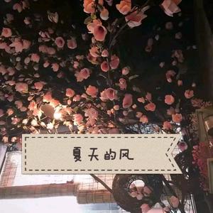 官网市场小蛇导航
