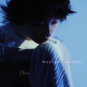 官网市场小蛇导航
