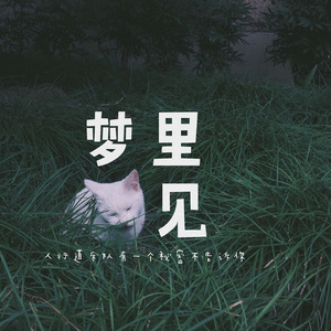 官网市场小蛇导航
