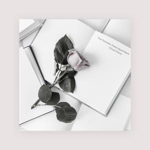 官网市场小蛇导航
